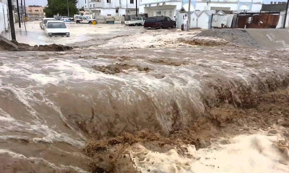 دور المثقفين في دعم الشائعات.. عندما يفتي المثقف في غير اختصاصه فيصدقه الجاهل