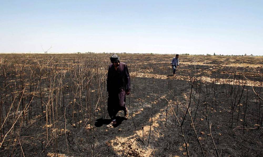 الزراعة النيابية تطالب الحكومة بتعويض متضرري الحرائق وتضع سقفاً زمنياً لإنهاء معاناتهم