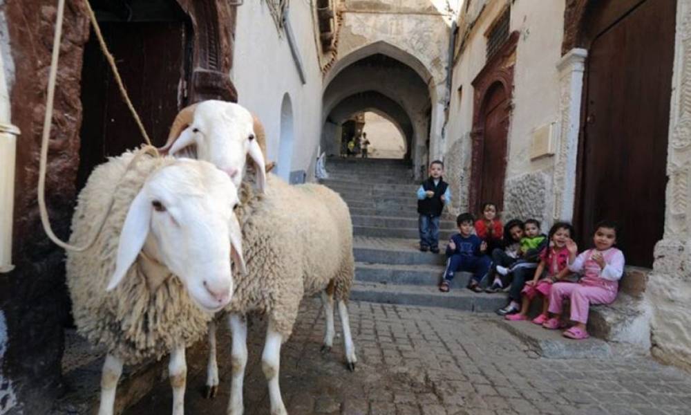 تحديد موعد "عيد الاضحى" ووقفة يوم عرفة لهذا العام ..