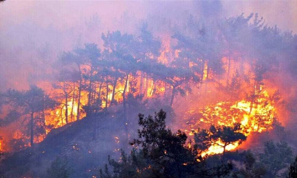 على خط الصراع بين حزب العمال الكردستاني والجيش التركي.. نيران تلتهم آلاف الدونمات في شمال العراق