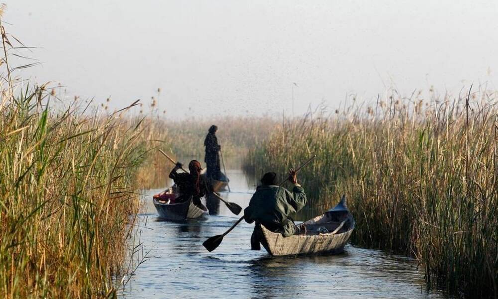 بعد مواسم من الجفاف.. الحياة تعود لشرايين أهوار البصرة